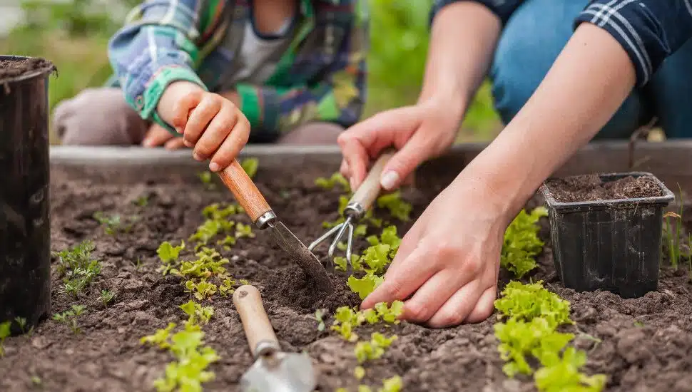 Major University Utilizes Bristol Property for Their Popular Gardening Program