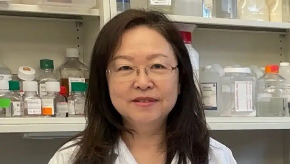 Doylestown Research Foundation Receives Million Contract to Development Treatment for Yellow Fever