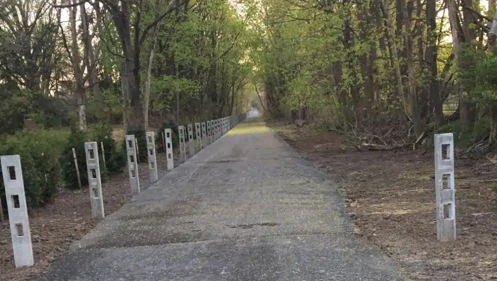 Newtown, Trail, Outdoors, Walking