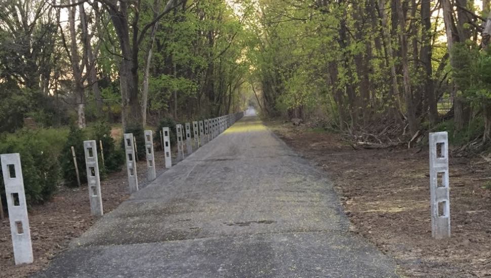 Newtown, Trail, Outdoors, Walking