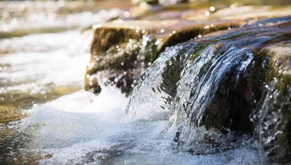 This Bucks County River Is Being Affected by Rising Sea Levels. Here’s What to Know