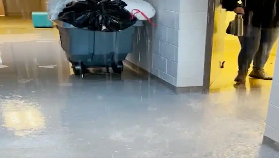 A Burst Pipe Forced This Quakertown Shelter to Relocate Dozens of Animals