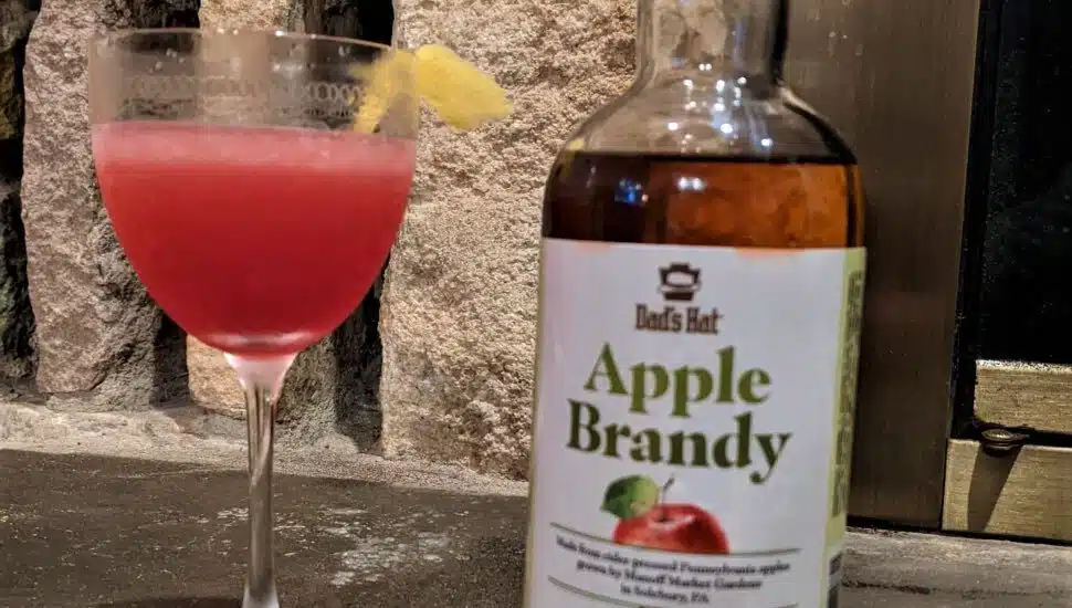 Want to Learn the Basics of Making a Great Cocktail? This Bristol Distillery Has You Covered