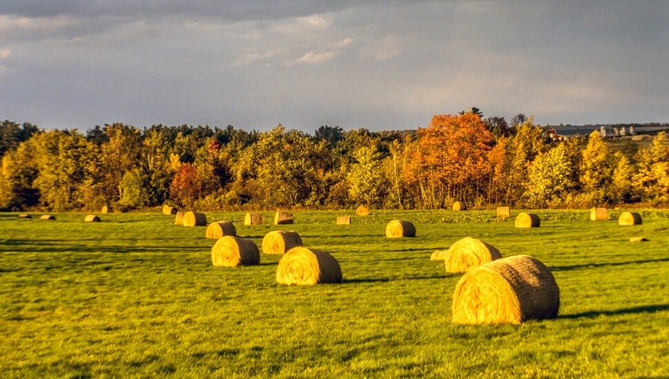 Lancaster in the Fall