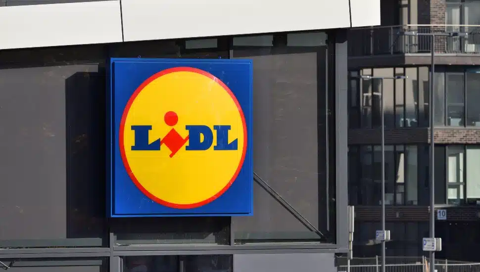 grocery store chain