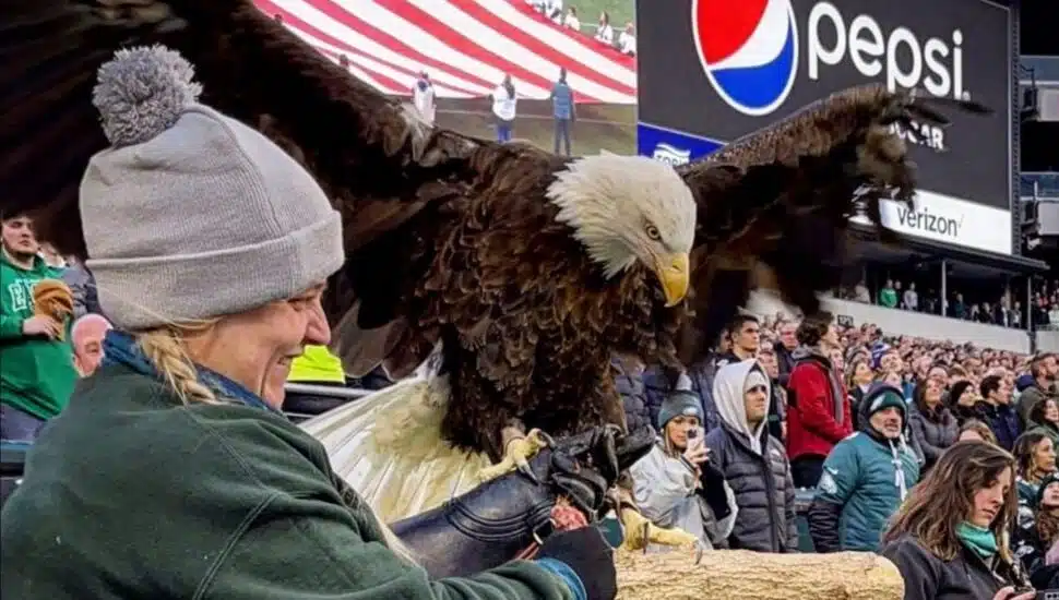 Delaware Valley University Celebrates Special Connection to the Philadelphia Eagles