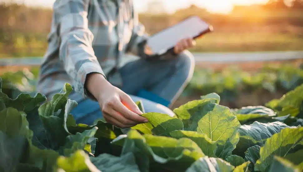 farming nonprofit