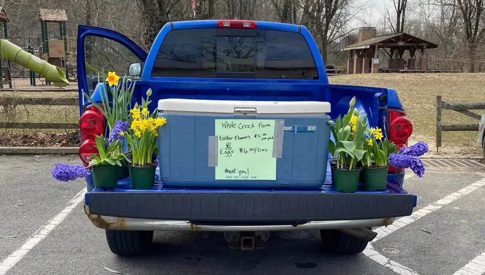 Local Farm Offers Flowers, Eggs Through Honor Stand in Town Close to Bucks County