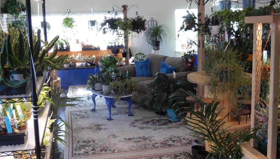 Pipersville Garden Center Offers Anything and Everything for Local Plant Lovers