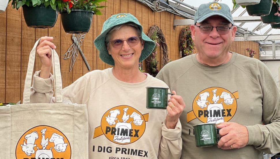 garden suppliers