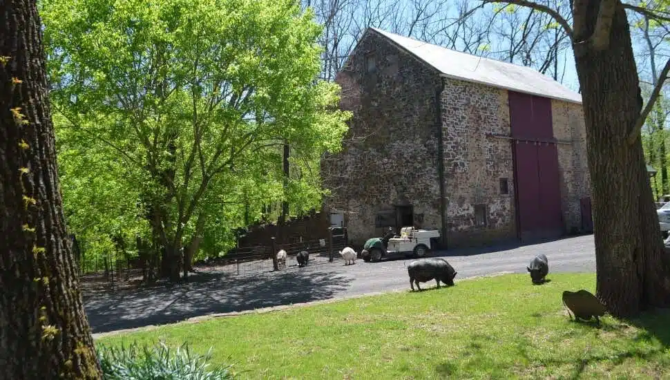 farm