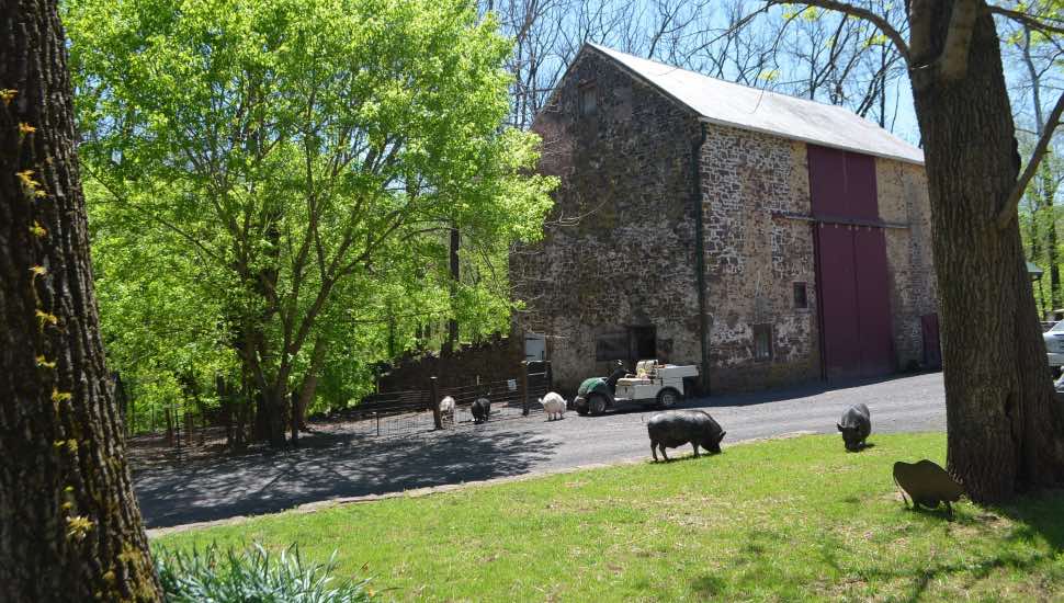 farm