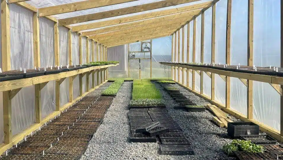 farm