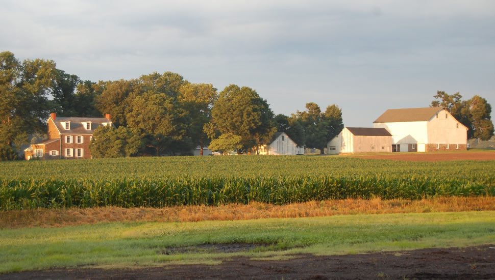 farm