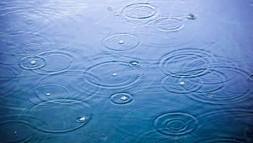 rain