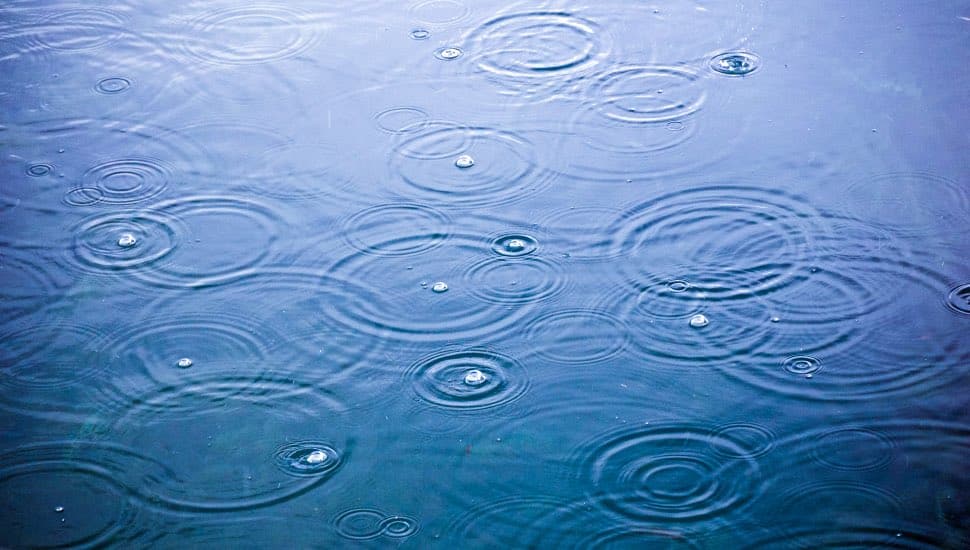 rain