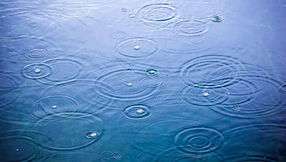 rain