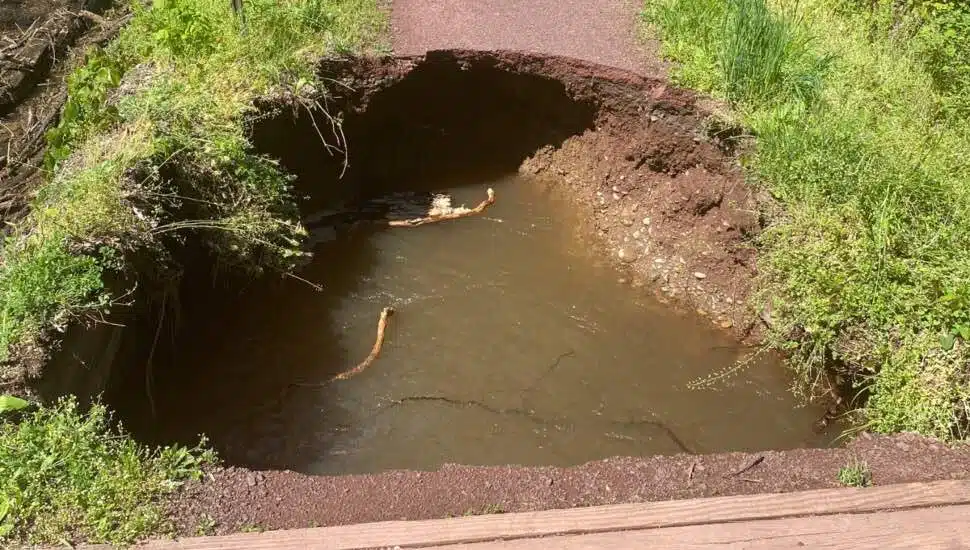 Watch Out! Sinkhole on the Delaware Canal Towpath Closes Trail in Uhlerstown