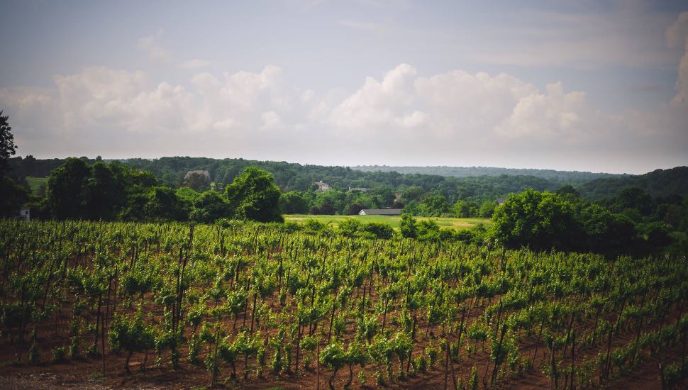 wineries
