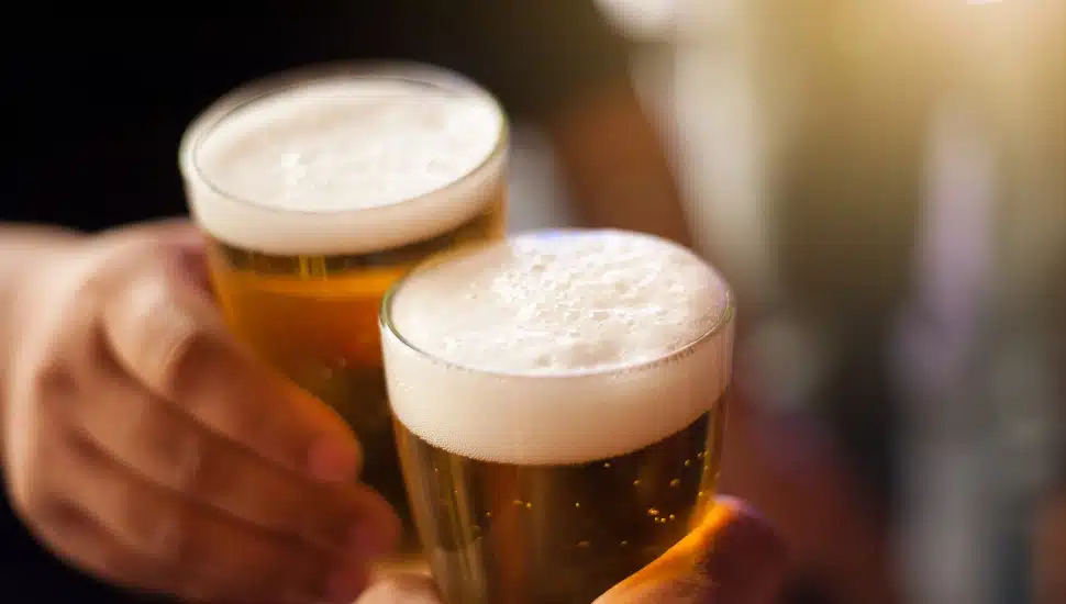 popular beer