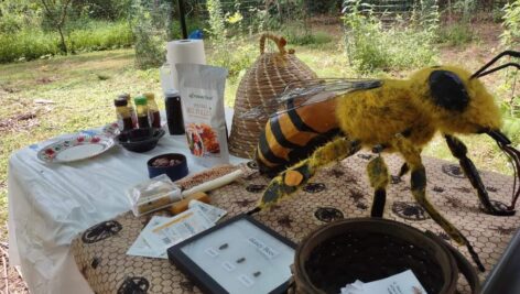 An outdoor display with a giant bee statue and goods such as honey and bee pollen
