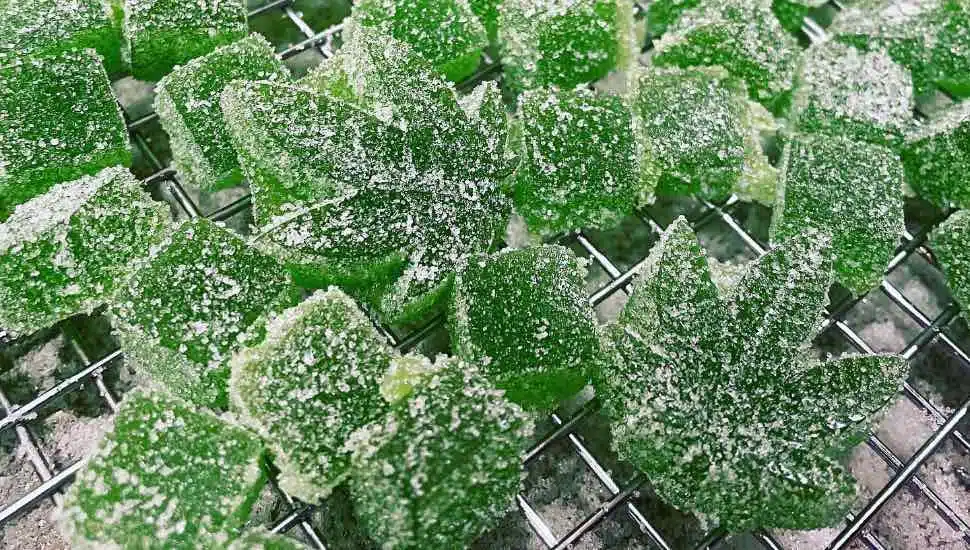 Green gummies on a sheet