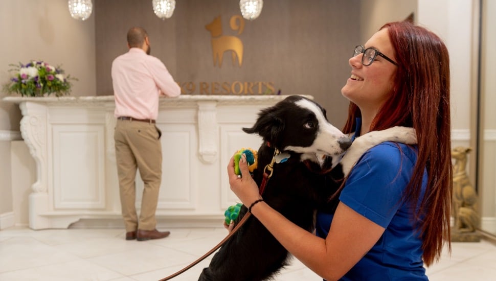 An employee of K9 Resorts Luxury Pet Hotel with a dog inside the building