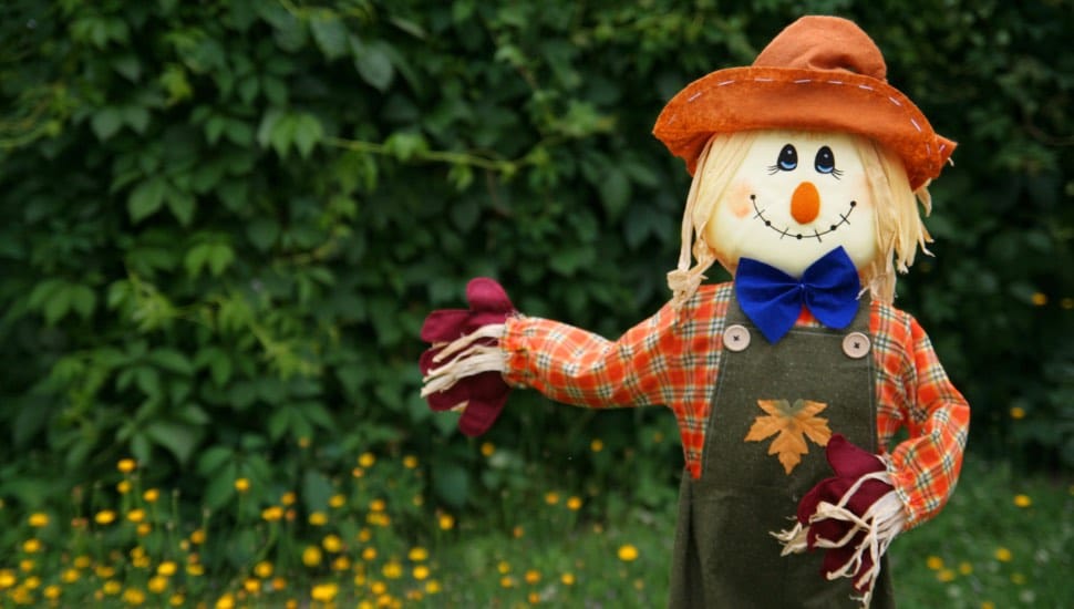 A scarecrow in a field