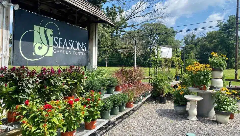 Washington Crossing Garden Center Gets Ready for the Fall with New Shipment of Plants