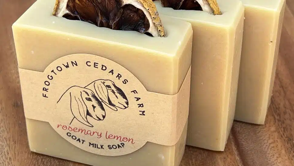 Bar soap made by Frogtown Cedars Farm