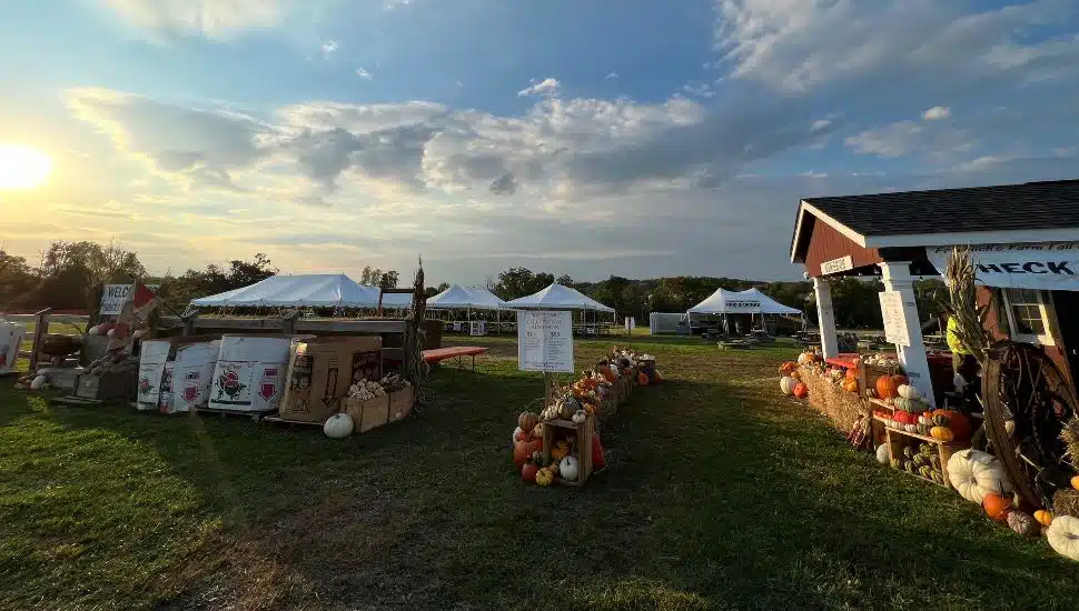 Froehlich's Farm & Garden Center