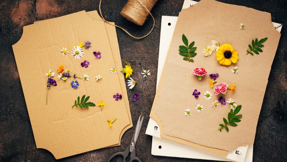 Flowers being pressed on paper