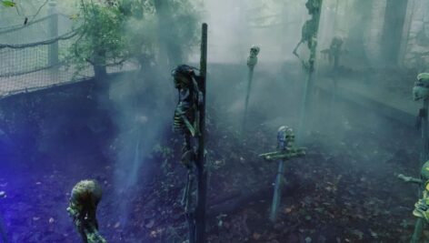Plastic skeletons laid out in a fog at Sleepy Hollow Haunted Acres