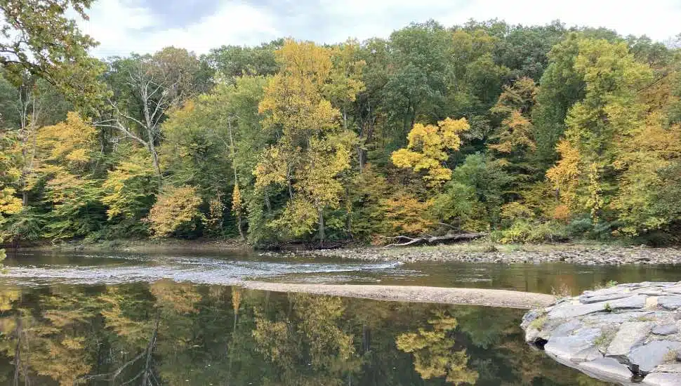 Tyler State Park