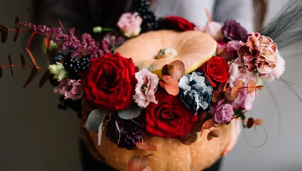 person holding pumpkin full of flowers