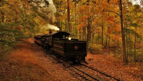 A train from the New Hope Railroad in the fall