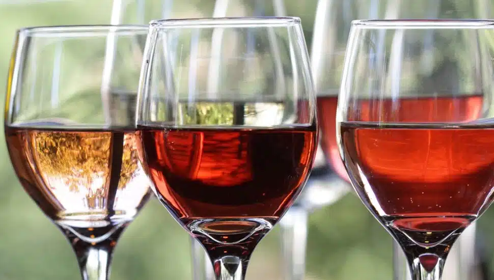 Glasses of wine