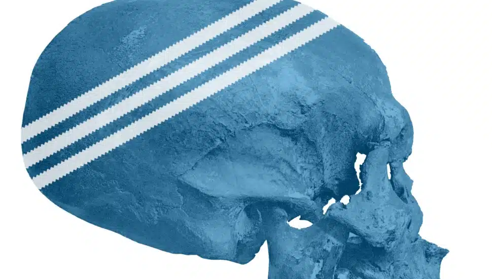 Digital print of skull
