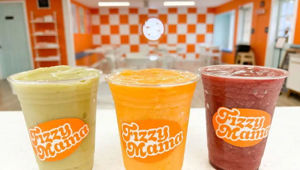 three sodas sitting side by side in Fizzy Mama's