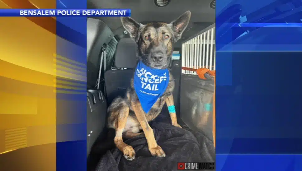 K9 Bensalem Police Department