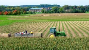 Shady Brook Farm tractor on crops