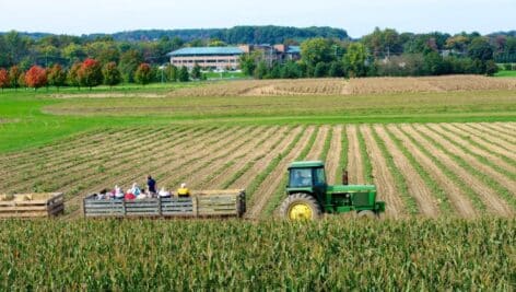 Shady Brook Farm tractor on crops