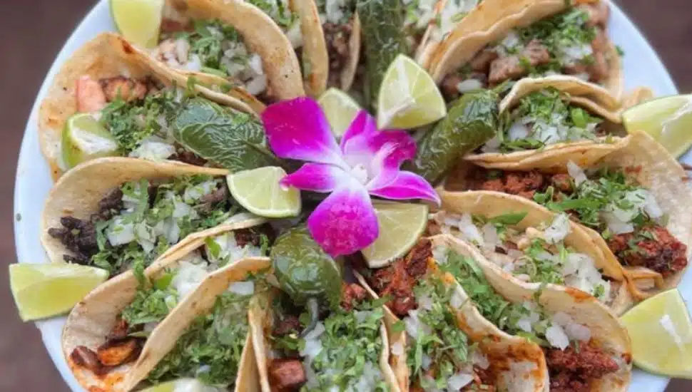 Tacos from Latin Pot