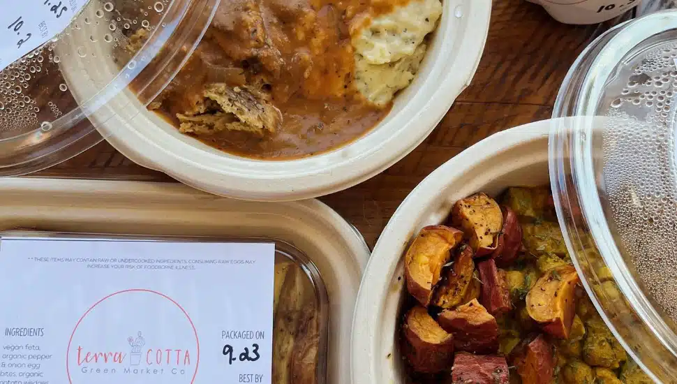 Terra Cotta Green Market vegan pre-made vegan meals