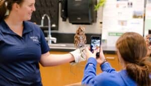 member of aubudon society has owl perched on hand as student at The Solebury School takes photo with phone in classroom