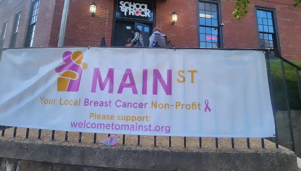 Main St Doylestown signage
