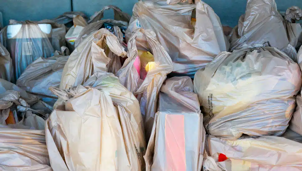 Plastic bags full of groceries in the trunk of a car
