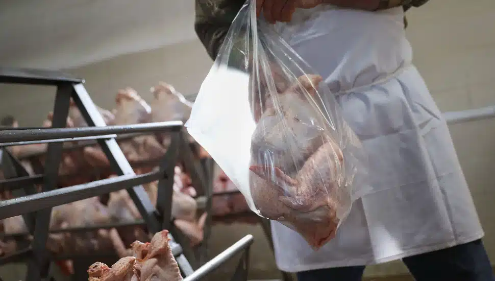 pre made turkeys at howe turkey farm