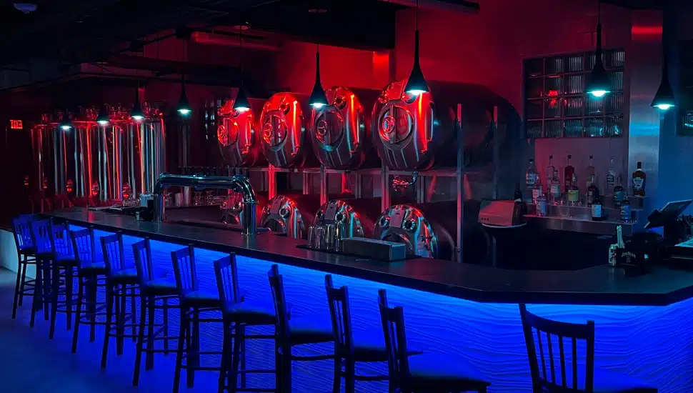 Tranquility Brewing Company bar interior