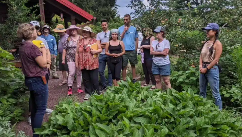 New Hope’s Hundred Fruit Farm Revolutionizes Agriculture with Permaculture in Bucks County